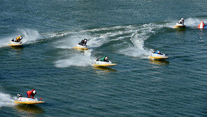 기칠인삼…‘마법의 모터 66번’