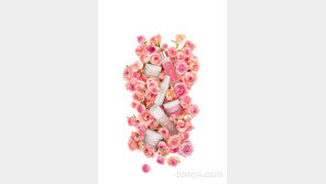 [2017 대한민국 대표브랜드] ‘ONLY 이마트’ 영역 화장품까지 넓혀… ‘센텐스’