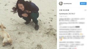 ‘효리네 민박’으로 컴백 이효리, 근황 보니? ‘반려견과 행복한 한 때’