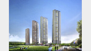 역세권개발구역 인근 부동산 들썩