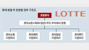롯데 4개사 분할 추진… 지주사 전환 속도낸다