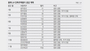 공공택지 단독주택용지 투기바람 잡는다