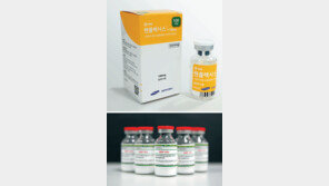 약발 받는 K-바이오… 삼성 ‘렌플렉시스’ 美 진출 