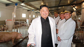 돼지사육장 찾아간 김정은