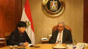 “이집트는 阿-중동 진출 허브… 한국기업 투자 많이 해달라”