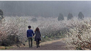 5월 황금연휴, 연인과 함께 하고 싶은 것 ‘1위’는?