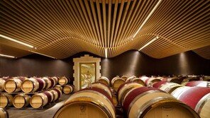 [스마트 컨슈머]국제와인박람회-프랑스 명품 와인산지 여행 동시에 즐긴다 