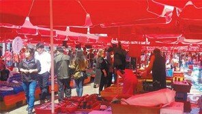 소래포구 어시장 일대 그린벨트 풀렸다