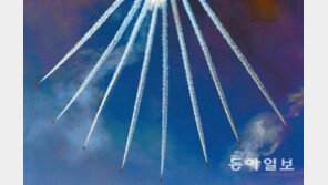 블랙이글스 9대 강남 상공 비행훈련 …“북한 전투기 아냐?” ‘화들짝’