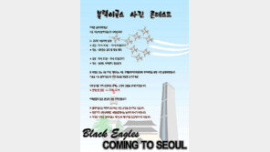 전투기 굉음 ‘블랙이글스’ 연습 소동…네티즌 “실제 상황서 대처 못할까 걱정”