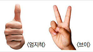 투표인증샷 올려도 OK