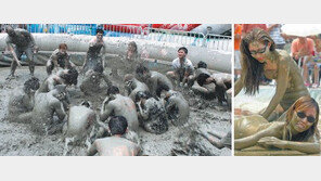 [봄맞이 국내 관광 가이드]해수욕-머드축제로 여름 무더위 시원하게 날리자 