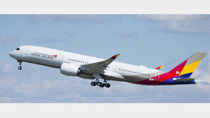 와이파이 터지는 항공기 도입