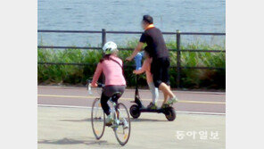 [규제와 규제개혁 사이] 인도, 자전거 도로, 차도... 전동 휠은 어디로 달리나