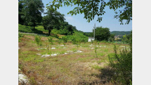 [화제의 분양현장]‘삼성브레인시티’ 인근 토지 