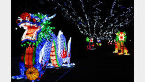 [부처님오신날]창건 설화 속 용 9마리 장엄등으로 재현… ‘무풍한송로’엔 학 모양 등 200마리 설치 