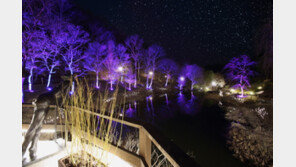 춘천 제이드가든 수목원, 가정의 달 맞아 야간개장