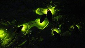 “어디 놀러갈까?” 5월 황금연휴, ‘국내 여행지’ 눈길