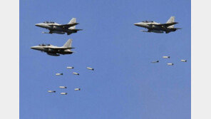 통합화력격멸훈련에 등장한 육군의 아파치 헬기