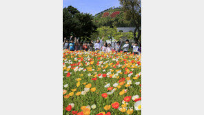 함평 나비축제장 ‘봄꽃 물결’