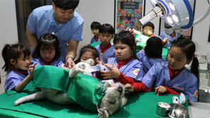 “쇼핑-놀이 한꺼번에… ‘쇼퍼테인먼트’ 즐기세요” 