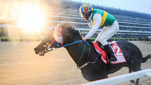 켄터키더비·코리안더비…‘장미대선’ 만큼 후끈