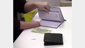 손이 없어도 다른 부위로 손을 대신할 수 있는 이유