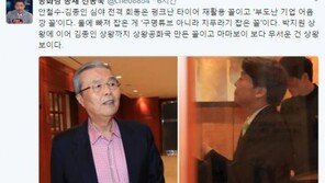 신동욱 “안철수X김종인 회동, 펑크 난 타이어 재활용 꼴” 일침