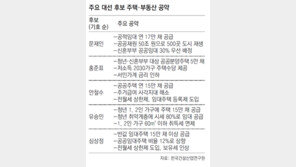 부동산 정책 사라진 대선 공약