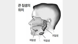 음식 먹을 때 침샘 붓거나 구강-턱 아래에 통증 있다면…