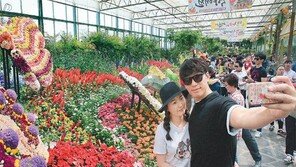 함평 나비축제 성황