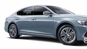 현대차, 4월 그랜저 판매 좋았는데… 해외 실적 극도 부진