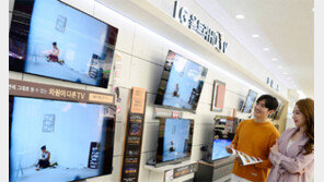 LG전자, 올레드TV 할인 판매