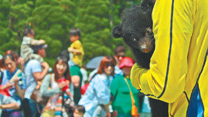 “오월은 푸르구나…” 어린이날 행사 풍성