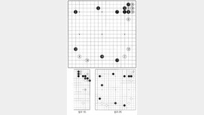 [바둑]알파고 vs 인간 특선보… 제2의 전성기