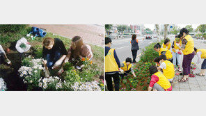 방치된 공터, 꽃 심고 정원 꾸미는 ‘아름다운 게릴라’