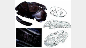 강인욱 “유목제국 흉노에게 ‘탐가’라는 고유문자 있었다”