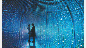 [Feeling]빛이 이끄는 환상의 세계