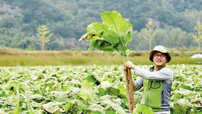 경북에 ‘청년 창농’ 열풍 거세다
