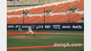 황금사자기는 ‘투구수 제한’ 확대의 시금석?