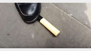 홍준표 대구 유세현장서 흉기 든 女 검거…“나는 골수 2번, 홍준표 팬”