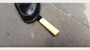 홍준표 유세현장서 흉기 소지 모녀 체포… “억울함 호소하러 왔다”