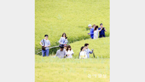 보리밭 사잇길 걸으며…