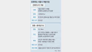 서울시 추진 대형사업 잇단 제동