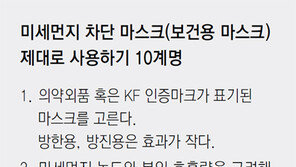 20원 vs 18만원… 마스크도 양극화