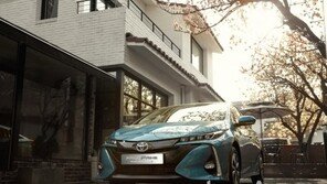 한국도요타, 주말농장 참가자 모집