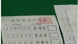 “기호 0번, 영원한 박근혜”에 투표…무효표 행사도 권리?