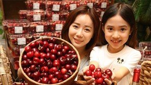 “캘리포니아 체리가 왔어요”