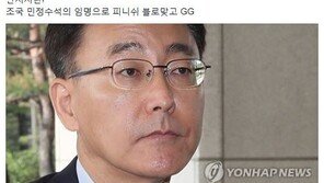 조응천 “김수남, 조국 민정수석 임명으로 ‘피니쉬 블로’ 맞고 GG…만시지탄!”