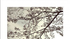 피아니스트 수희, 첫 싱글 ‘소풍’…“이루마 잇는 무서운 신예”